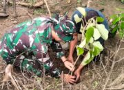 Antisipasi Banjir dan Longsor Babinsa Koramil 1311-08/Soyo Jaya Bersama Masyarakat Tanam Pohon Jati Putih dan Ketapang Kencana di Bantaran Sungai 