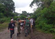 Babinsa Koramil 1311-08/Soyo Jaya Bersama Masyarakat Melaksanakan Gotong Royong Pembuatan Jembatan di Desa Pancamakmur