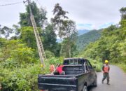 Babinsa Kodim 1311/Morowali Serka Ramli Turut Pembersihan Jaringan PLN