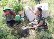 Babinsa Koramil 1311-08/Soyo Jaya Dengarkan Kendala Warga Melalui Komsos di Kebun