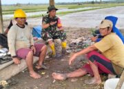 Babinsa Koramil 1311-01/BT, Dengarkan Kendala Lewat Komsos Kelompok Tani Padi di Desa Puntari Makmur