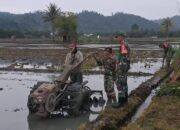 Babinsa Koramil 1311-01/BT Dampingi Warga Salonsa Pengolah Lahan Ketahanan Pangan
