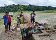 Babinsa Koramil 1311-06/Bungku Utara Tinjau Lokasi Irigasi di Desa Mamosalato