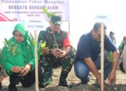 Kodim 1311/Morowali Bersama PT. IMIP Menanam Ribuan Bibit Manggrove 