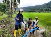 Babinsa Kodim 1311/Morowali Dampingi Warga