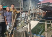 Polsek Bumi Raya Berikan Bantuan Benih Lele untuk Dukung Petani Budidaya di Desa Parilangke