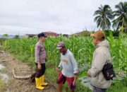 Polres Morowali Dorong Ketahanan Pangan di Desa Emea Melalui Bhabinkamtibmas