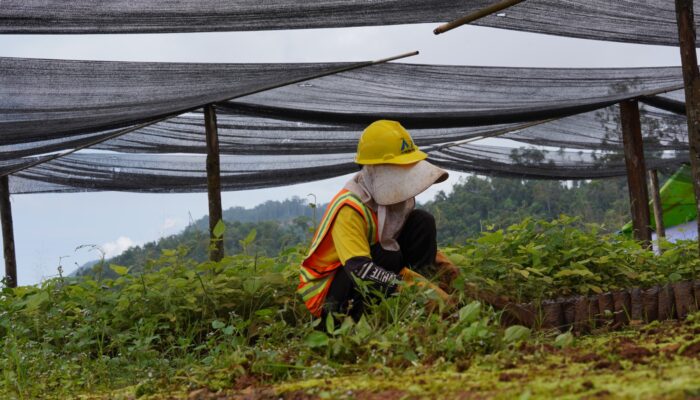 PT BDM Targetkan Reklamasi 1.337 Hektare Lahan Pascatambang