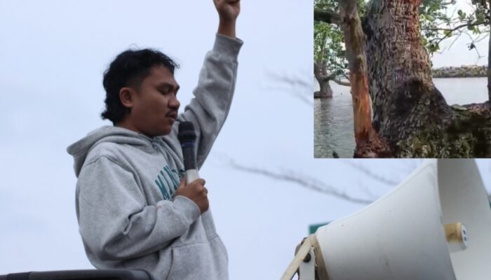 Pemuda Desa Ipi Kecam Keras Perusakan Mangrove: ‘Benteng Pantai Kami Dibunuh Perlahan’
