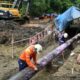 Pemulihan Bersama, Kepercayaan Kembali: PT Vale dan Warga Towuti Bangkit Lewat Kolaborasi Berkelanjutan