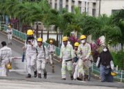 IMIP Pacu Lapangan Kerja 200–500 Wawancara per Hari, Antusiasme Masyarakat Meledak