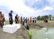 Polri untuk Masyarakat: Bhabinkamtibmas Wita Ponda Lepas 10 Ribu Bibit Ikan Nila Dukung Ketahanan Pangan