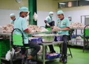 Hadirkan Kesetaraan, PT IMIP Buka Ruang Inklusi bagi Disabilitas