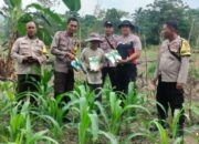 Polsek Bungku Barat Salurkan Bibit Jagung Hibrida untuk Dukung Ketahanan Pangan Nasional
