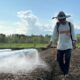 IMIP Dorong Hortikultura Berkelanjutan: Transformasi Lahan Tidur Jadi Sumber Ekonomi Baru