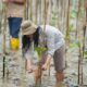 PT IMIP Tanam Mangrove, Menjaga Keberlanjutan Lingkungan