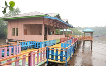 CSR IMIP Tuntaskan Pembangunan Desa Wisata Mangrove Padabaho