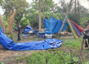 Jelang Ramadan, Polres Morowali Tertibkan Arena Judi Sabung Ayam di Bahodopi