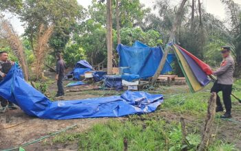Jelang Ramadan, Polres Morowali Tertibkan Arena Judi Sabung Ayam di Bahodopi