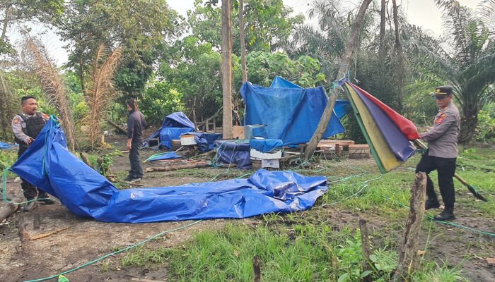 Jelang Ramadan, Polres Morowali Tertibkan Arena Judi Sabung Ayam di Bahodopi