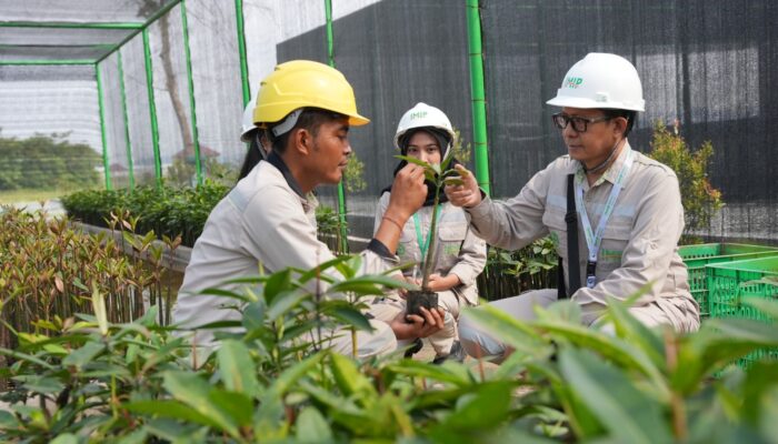 IMIP Fasilitasi Magang Dosen, Kuatkan Kolaborasi Industri–Akademisi