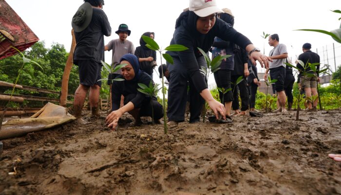 IMIP Tingkatkan Serapan Karbon, Target Reduksi Emisi