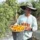CSR IMIP Perkuat Kemandirian Ekonomi Petani Lokal