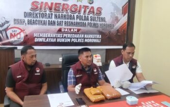 Gerebek Kiriman 2 Kg Ganja dari Medan, Polisi Morowali Tangkap 3 Pengedar Sabu