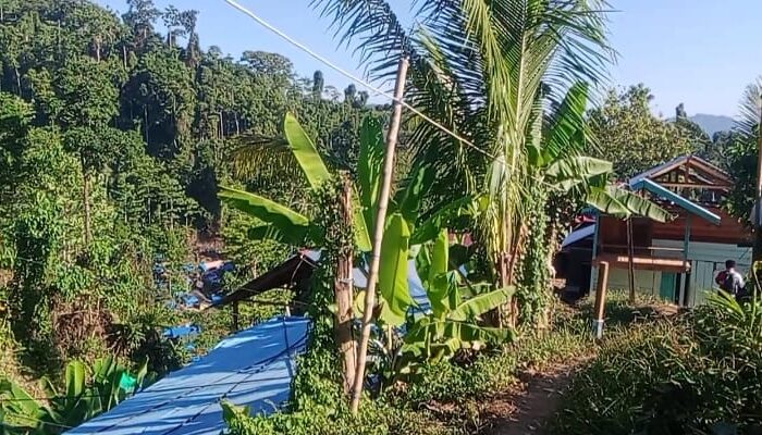10 Titik PETI di Halmahera Selatan Diduga Bebas Beroperasi, Publik Soroti Peran Aparat