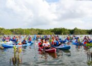 Hari Mangrove Sedunia, IMIP Dukung Penanaman 1 Juta Mangrove di 37 Provinsi