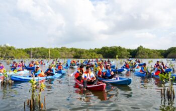 Hari Mangrove Sedunia, IMIP Dukung Penanaman 1 Juta Mangrove di 37 Provinsi