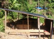 FORMAPAS Desak Polda Malut Usut 5 Bos PETI di Halmahera Selatan, Pakai Sianida dan Merkuri
