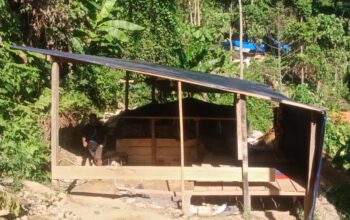 FORMAPAS Desak Polda Malut Usut 5 Bos PETI di Halmahera Selatan, Pakai Sianida dan Merkuri
