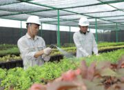 Bank Benih Nursery Mandiri IMIP, Menjaga Keanekaragaman Hayati Lokal