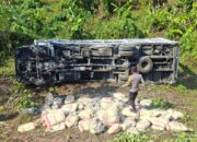 Mobil Pengangkut Semen KOPDES Dolik Halmahera Selatan Masuk Jurang