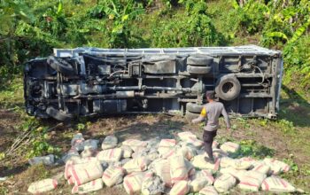 Mobil Pengangkut Semen KOPDES Dolik Halmahera Selatan Masuk Jurang
