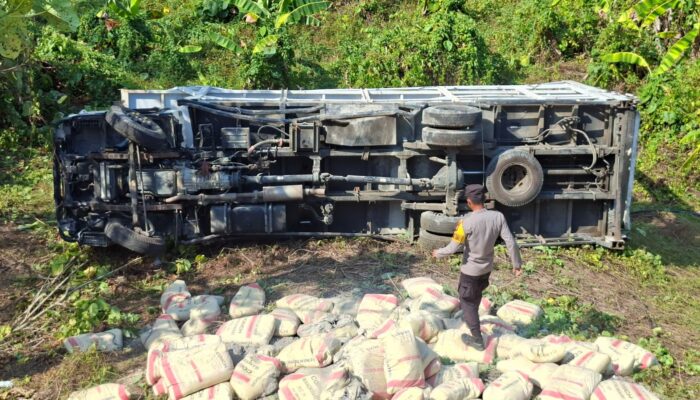 Mobil Pengangkut Semen KOPDES Dolik Halmahera Selatan Masuk Jurang
