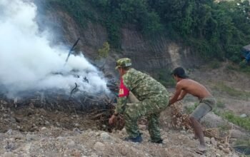 Sigap! Babinsa Koramil Bahodopi Padamkan Kebakaran Lahan di Desa Labota