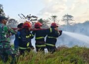 Gotong Royong! Koramil Bahodopi Bersama Warga & Security PT MSS Padamkan Kebakaran Lahan di Bahomakmur
