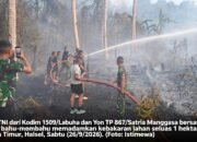 Kebakaran Lahan Warga di Wayamiga Halsel Berhasil Dipadamkan, Aparat dan Warga Bergerak Cepat