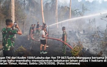 Kebakaran Lahan Warga di Wayamiga Halsel Berhasil Dipadamkan, Aparat dan Warga Bergerak Cepat