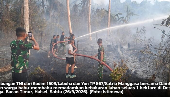 Kebakaran Lahan Warga di Wayamiga Halsel Berhasil Dipadamkan, Aparat dan Warga Bergerak Cepat