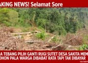 Diduga Tebang Pilih Ganti Rugi SUTET di Desa Sakita Memanas, Warga Menjerit 300 Pohon Pala Dibabat Rata Tapi Tak Dibayar