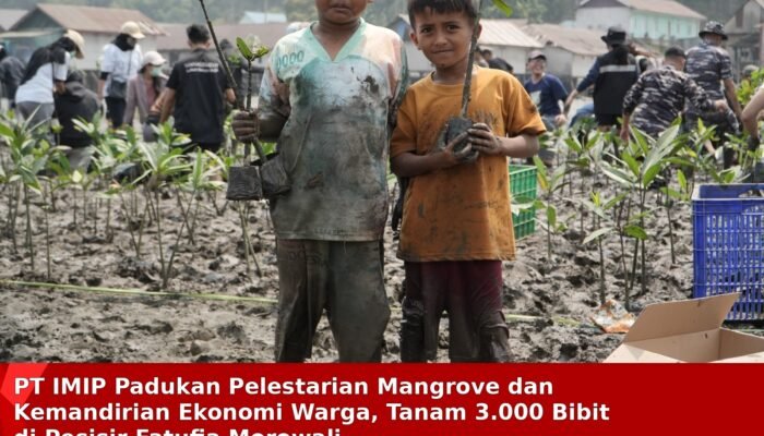 PT IMIP Padukan Pelestarian Mangrove dan Kemandirian Ekonomi Warga