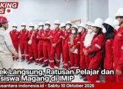 Ratusan Pelajar dan Mahasiswa Magang di IMIP