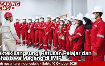 Ratusan Pelajar dan Mahasiswa Magang di IMIP